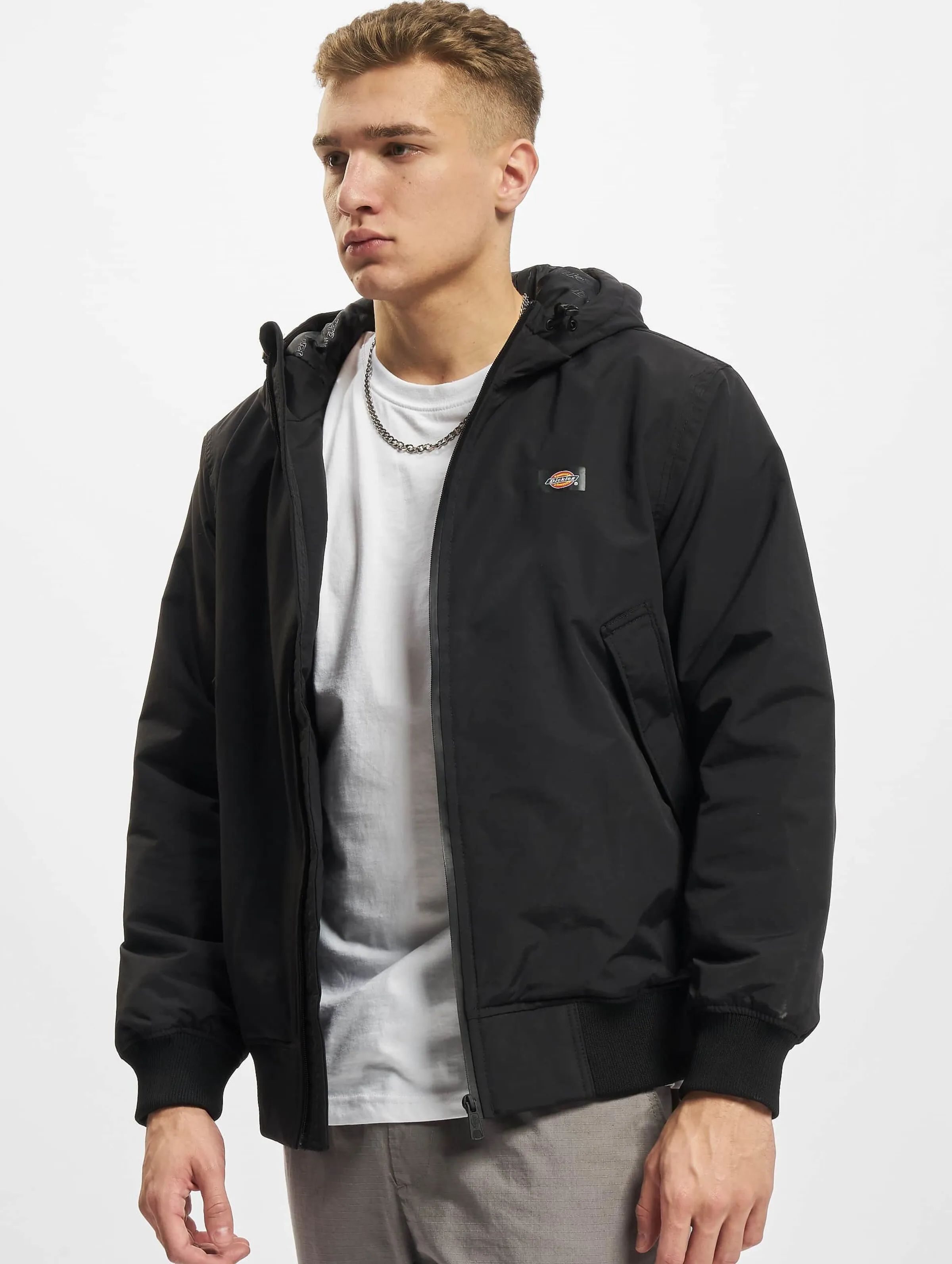 Dickies Dickies New Sarpy Jacket